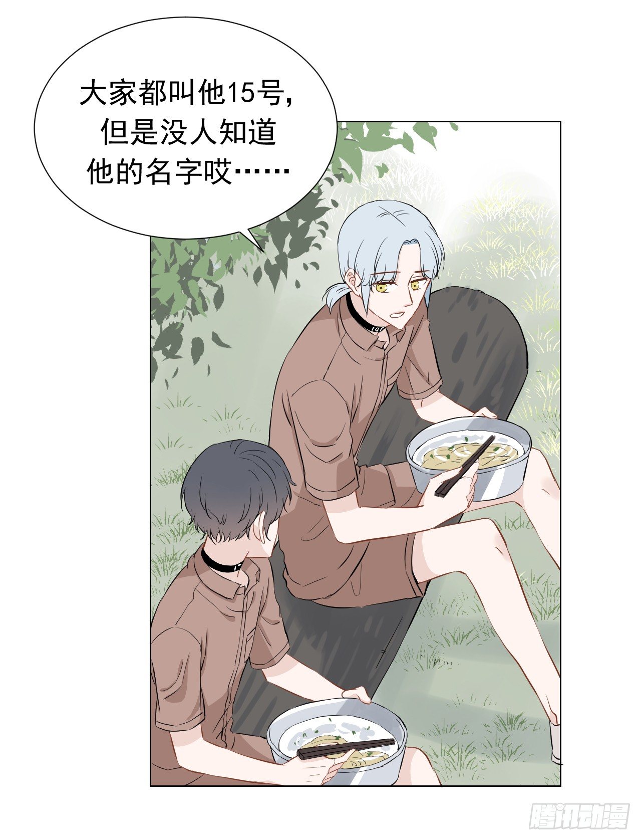 23【15号的过去11