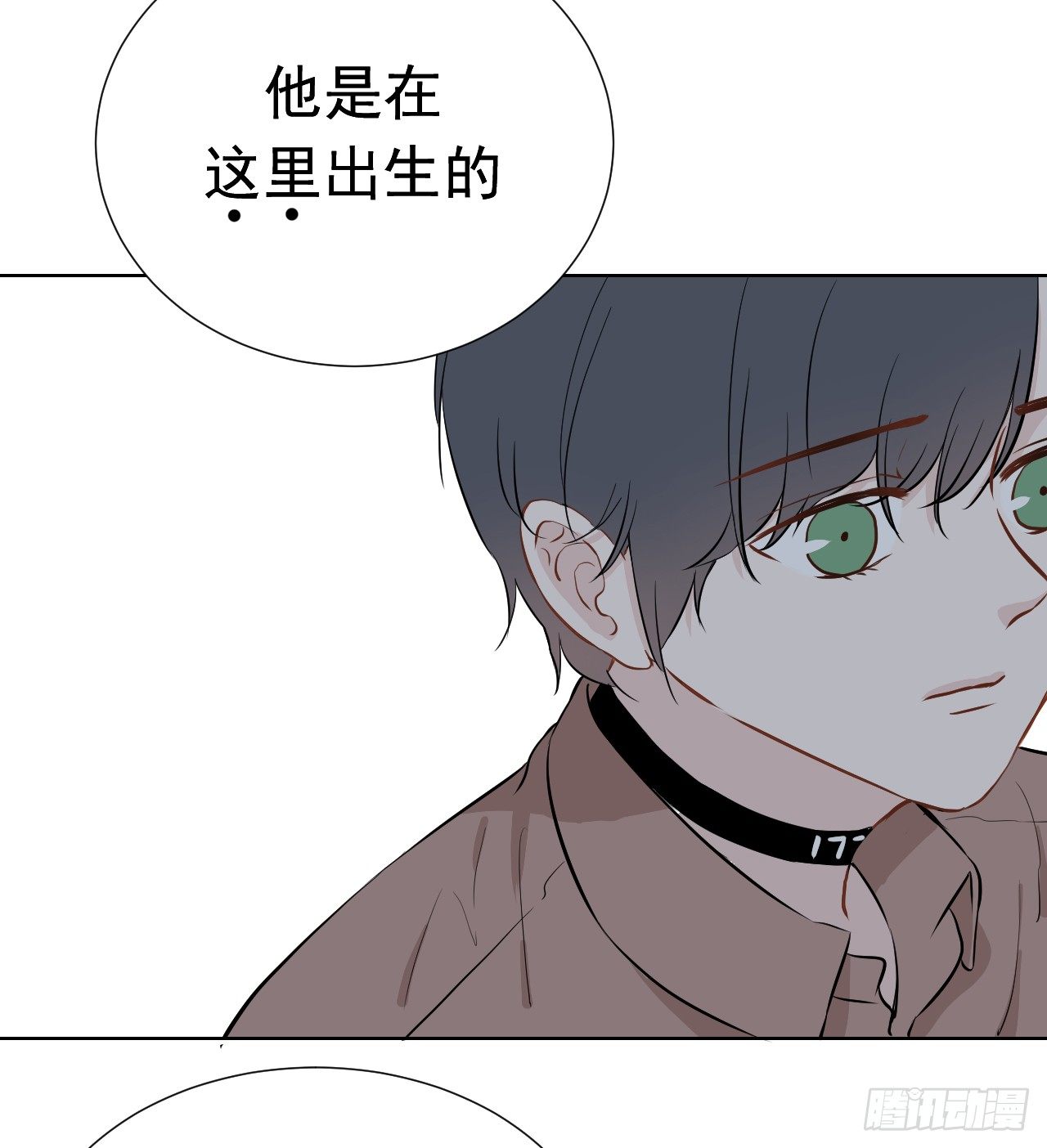 23【15号的过去22