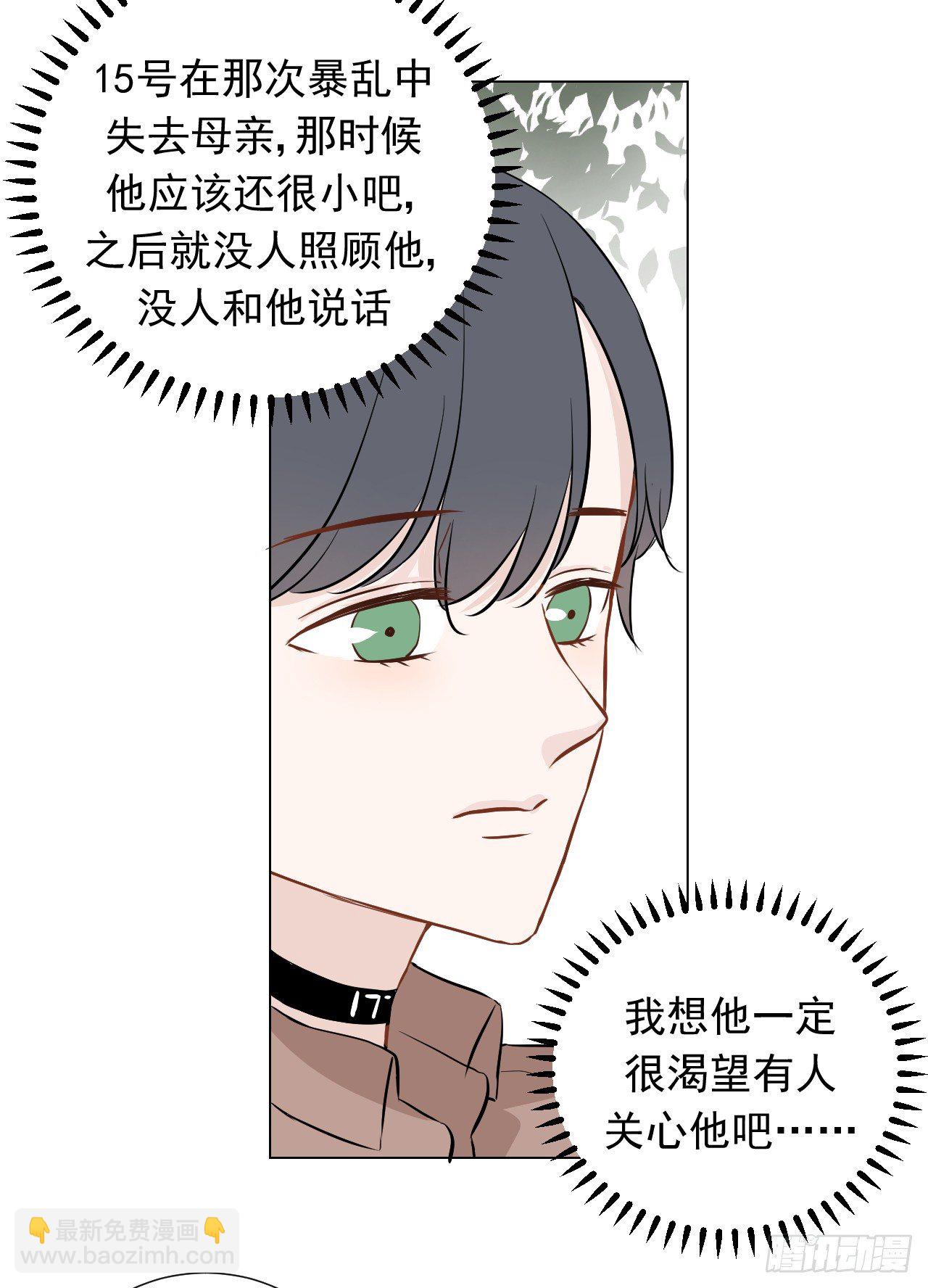 23【15号的过去33