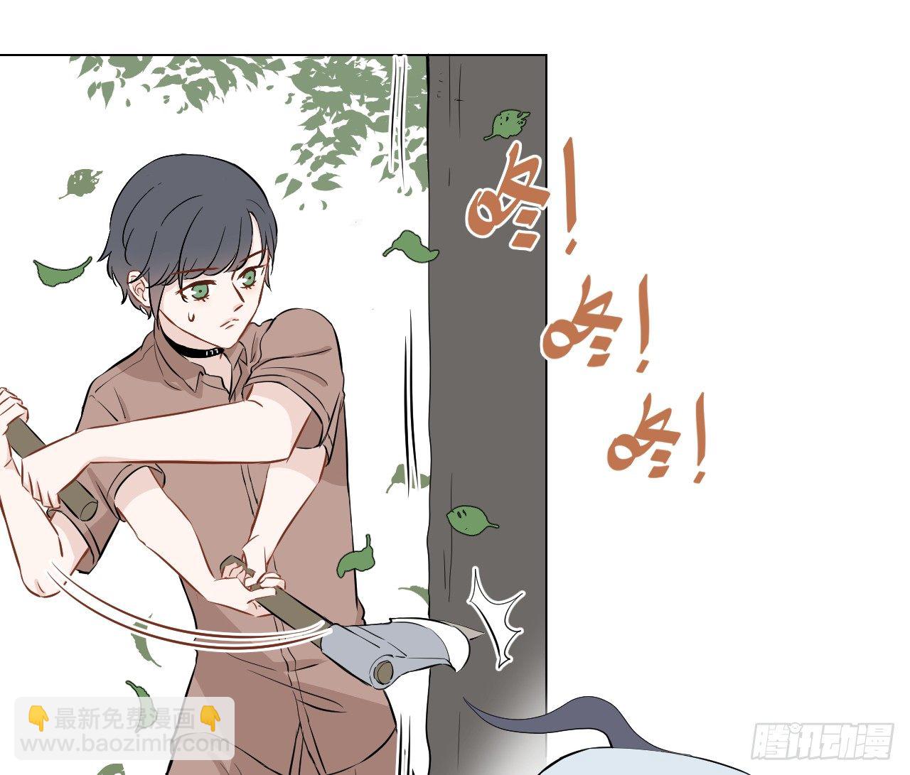23【15号的过去4