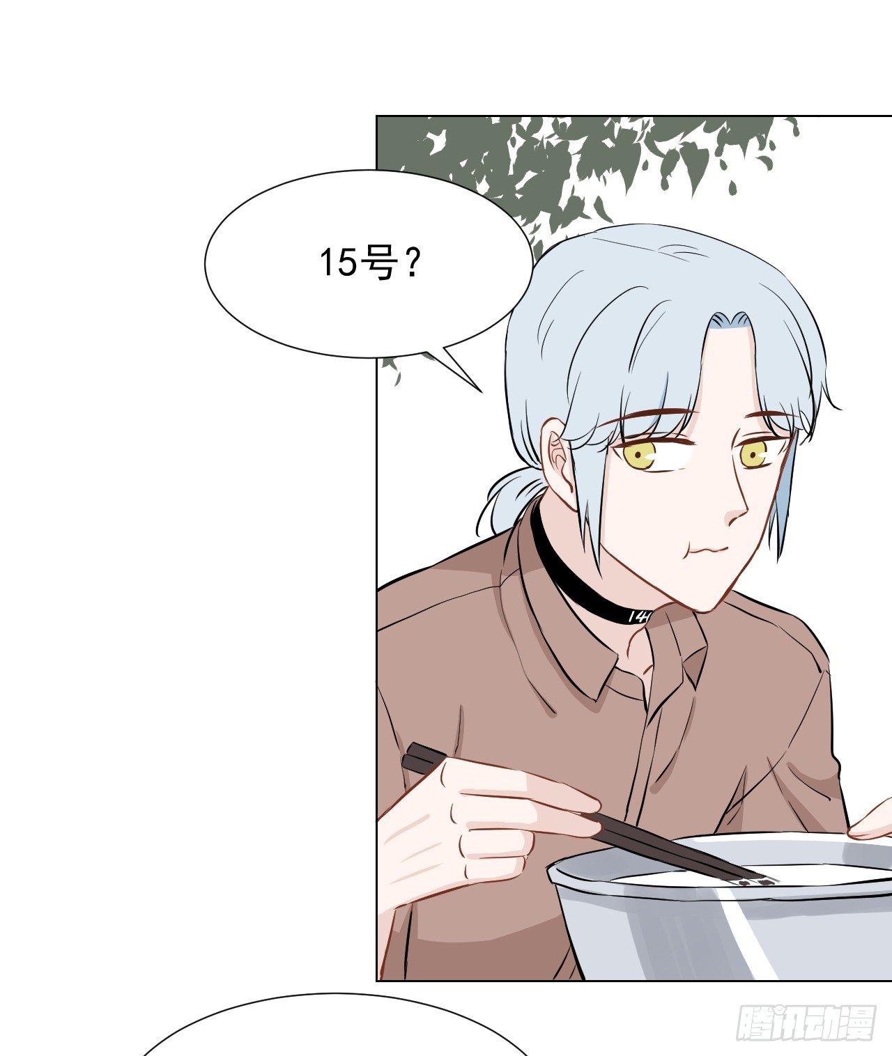 23【15号的过去9