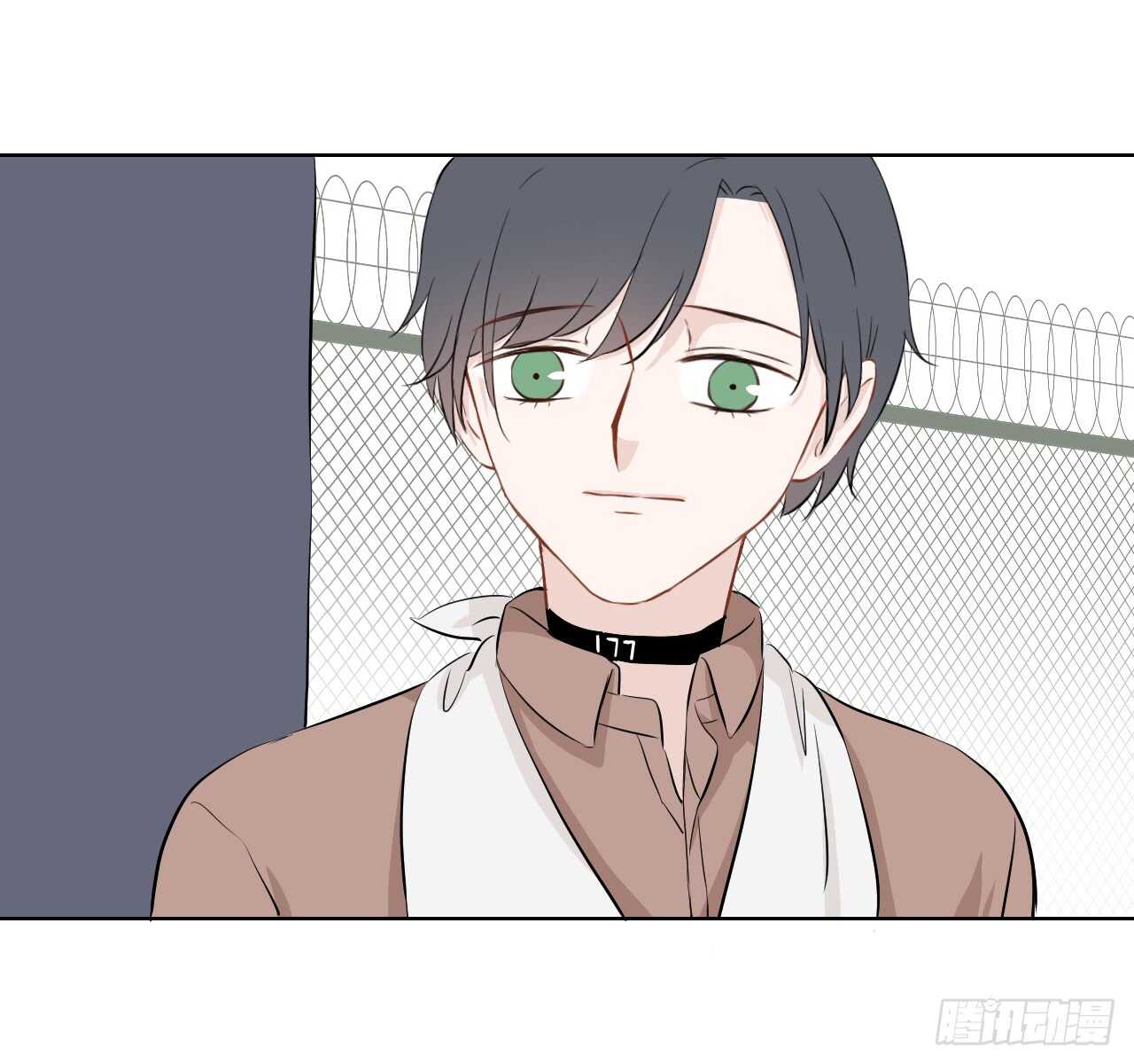 第29话【格斗赛36