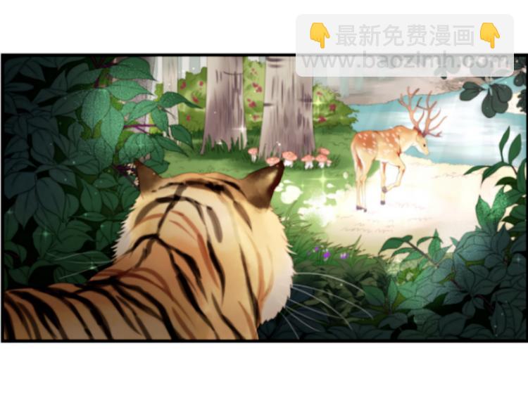第1＋2话 捡到一只很萌的狐狸？4