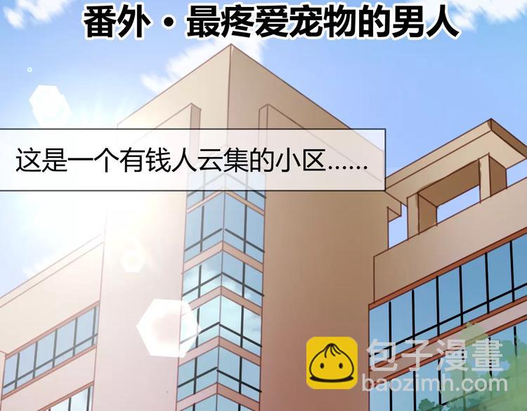 番外：最宠爱宠物的人1