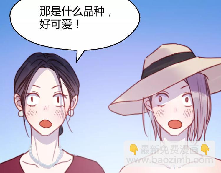 番外：最宠爱宠物的人11