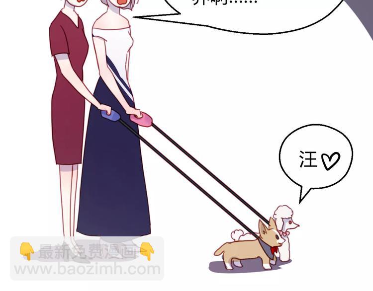 番外：最宠爱宠物的人13