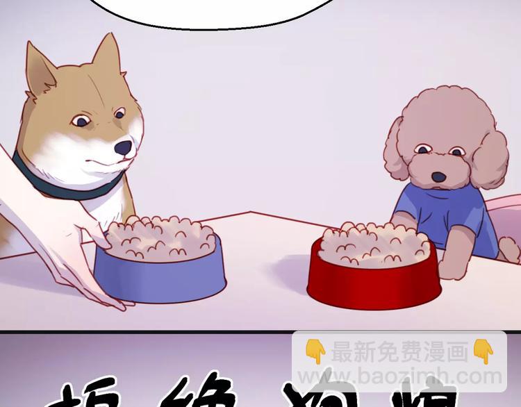 番外：最宠爱宠物的人26