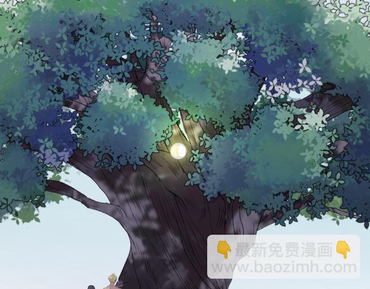 完结篇 新生52