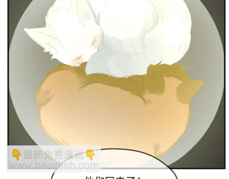 完结篇 新生57