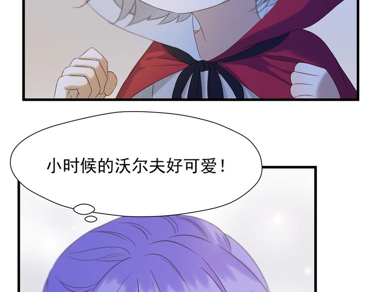 第40话 沃尔夫！？25