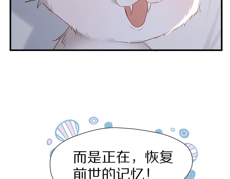 特别篇 第5话74