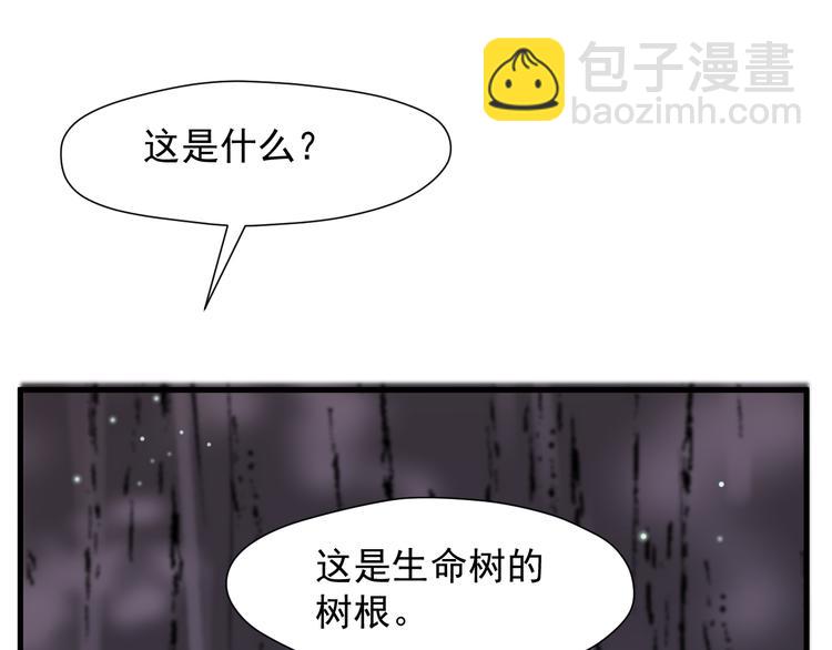 特别篇 第11话13