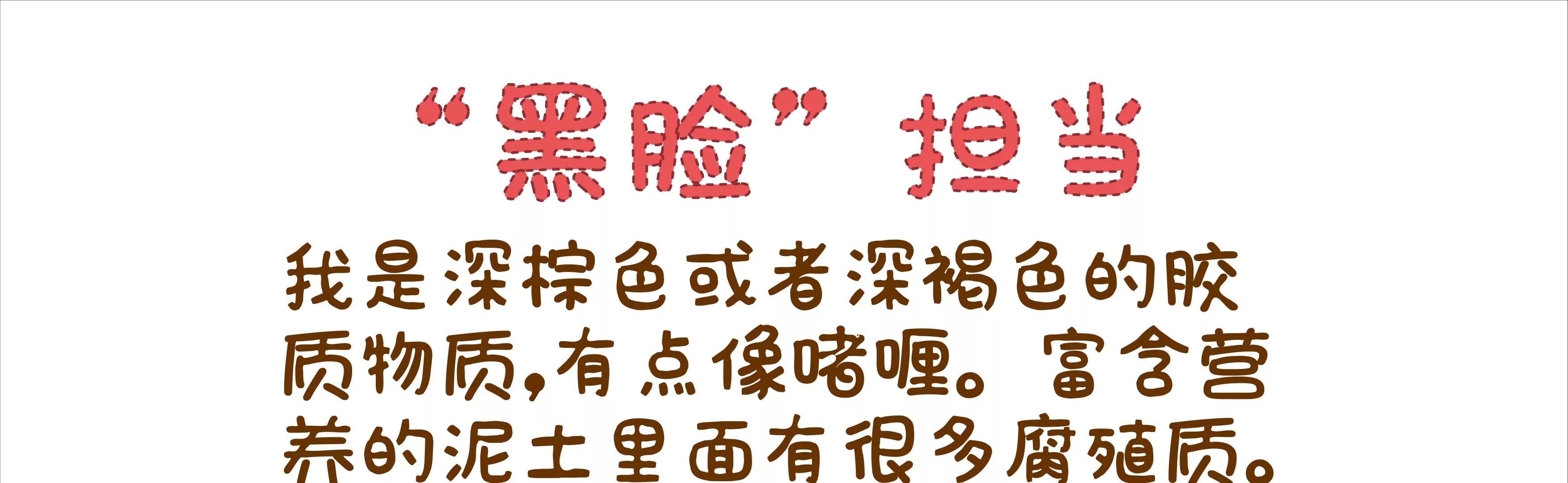 摘草莓，摘出“全家微生物”34