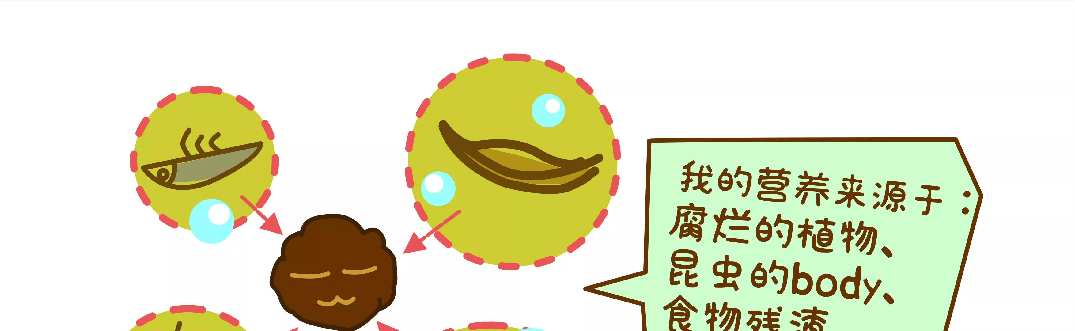 摘草莓，摘出“全家微生物”36