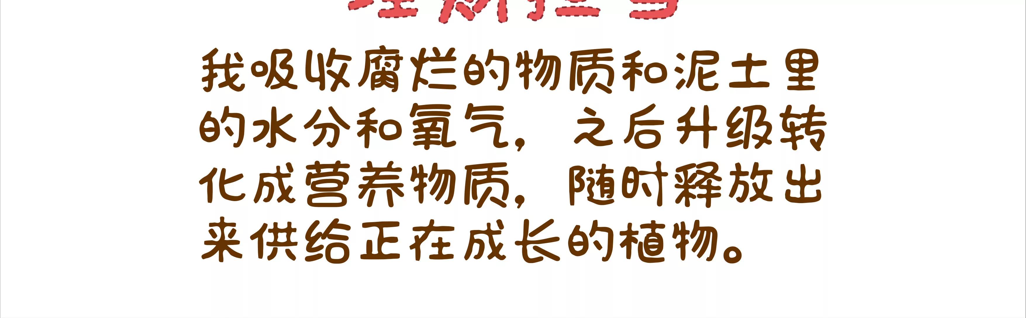 摘草莓，摘出“全家微生物”38