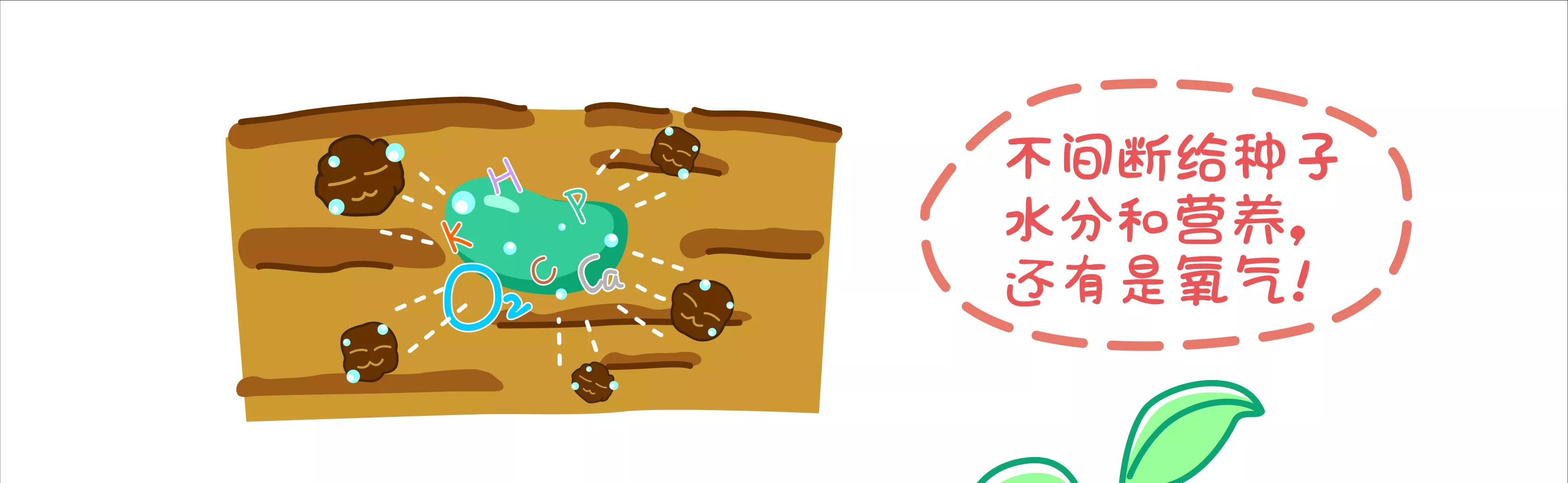 摘草莓，摘出“全家微生物”41