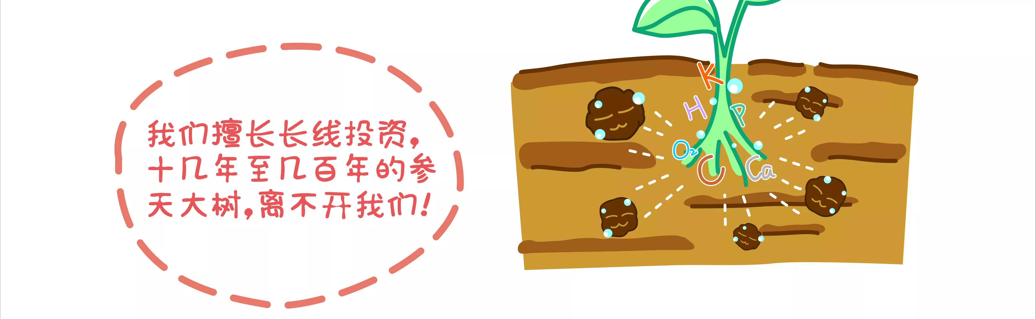 摘草莓，摘出“全家微生物”42