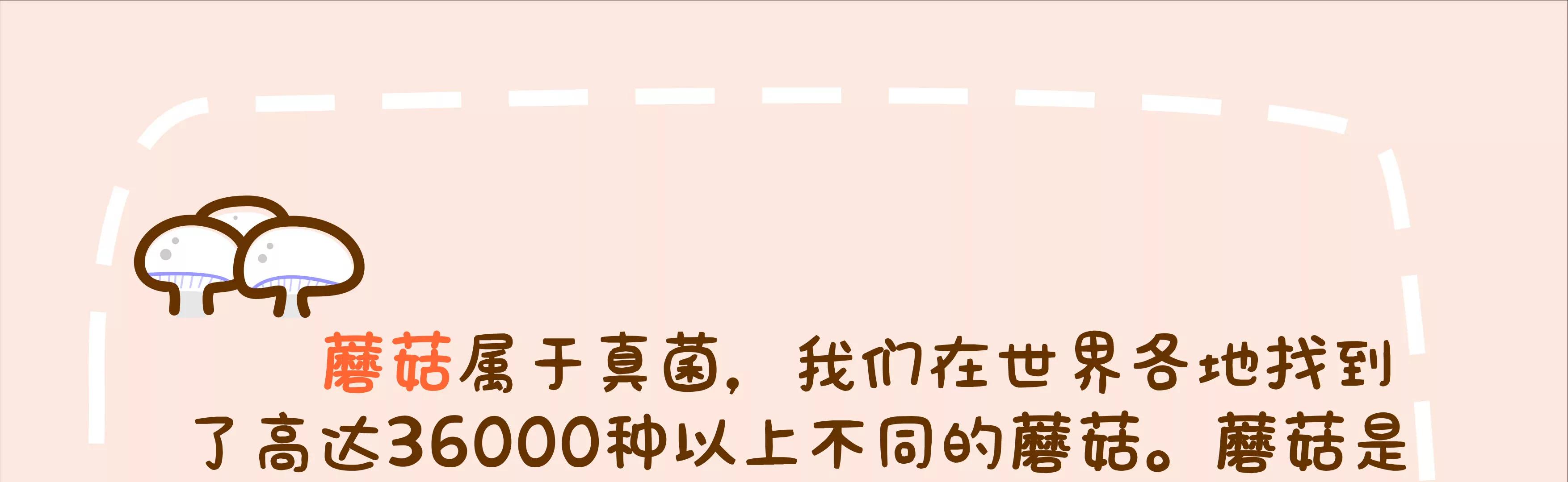 微生物来解答人生终极三问148