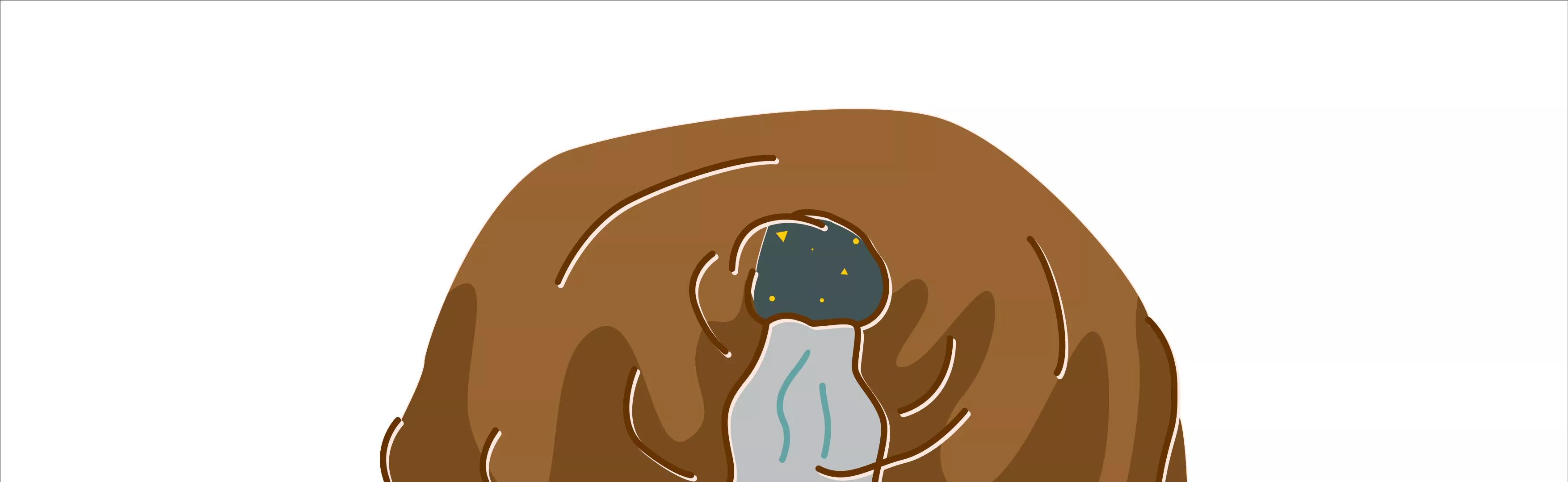 微生物来解答人生终极三问82
