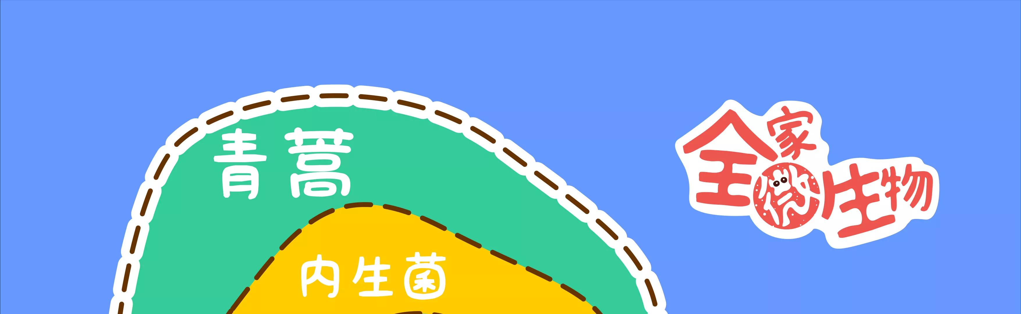 宝藏男孩之农药皮肤61