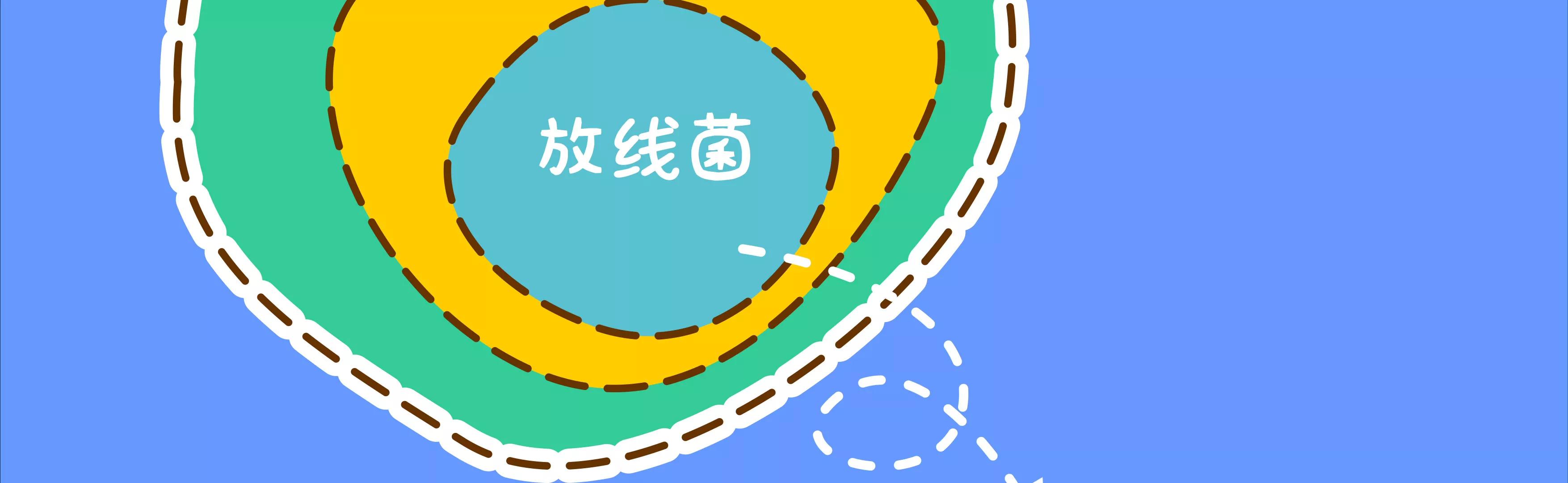 宝藏男孩之农药皮肤62