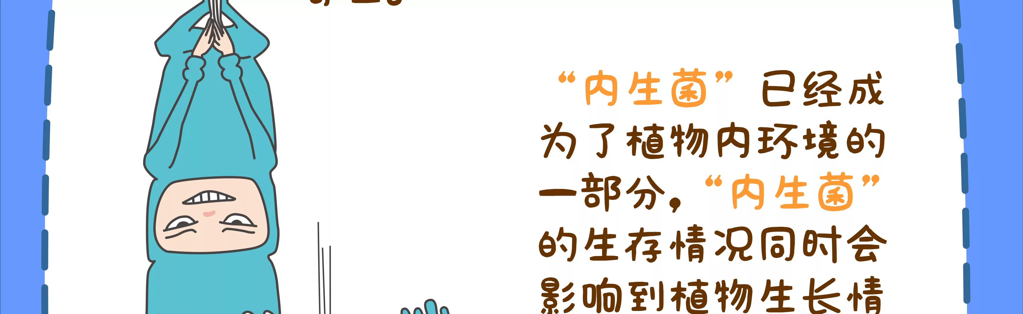 宝藏男孩之农药皮肤65