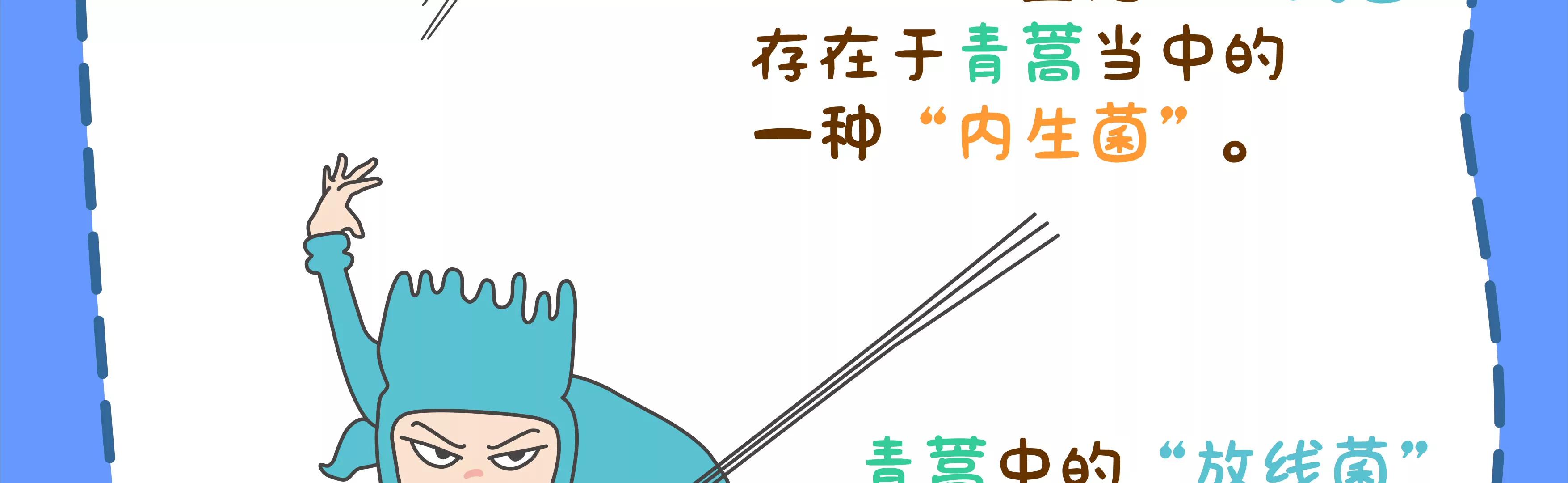 宝藏男孩之农药皮肤67