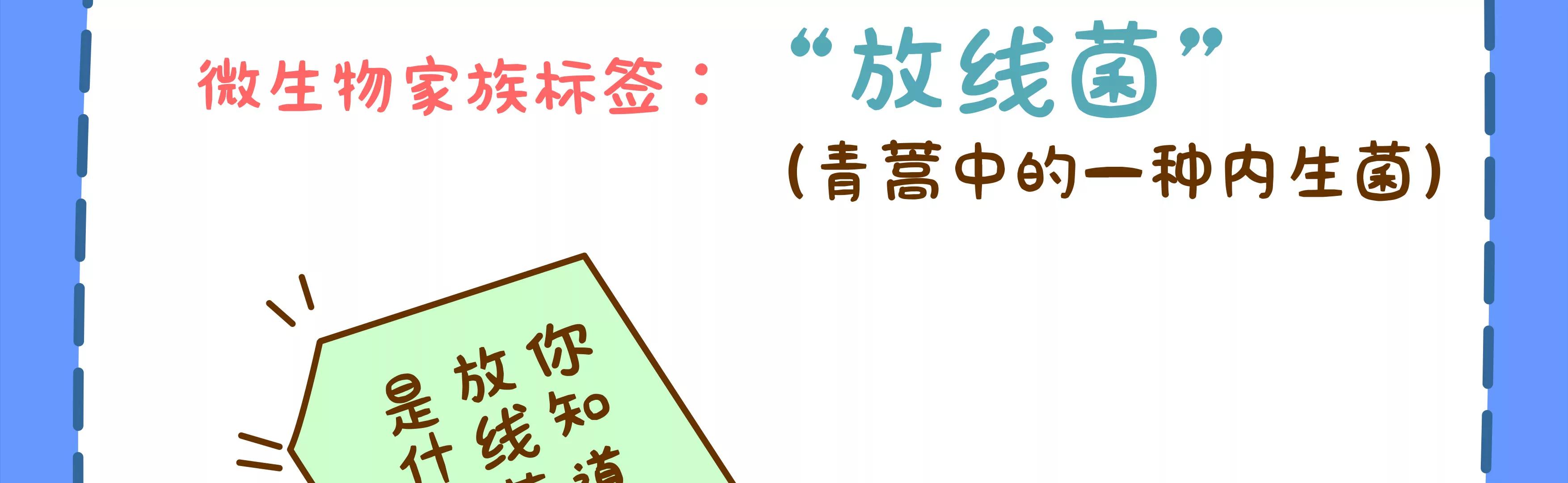 宝藏男孩之儿童节的新衣64