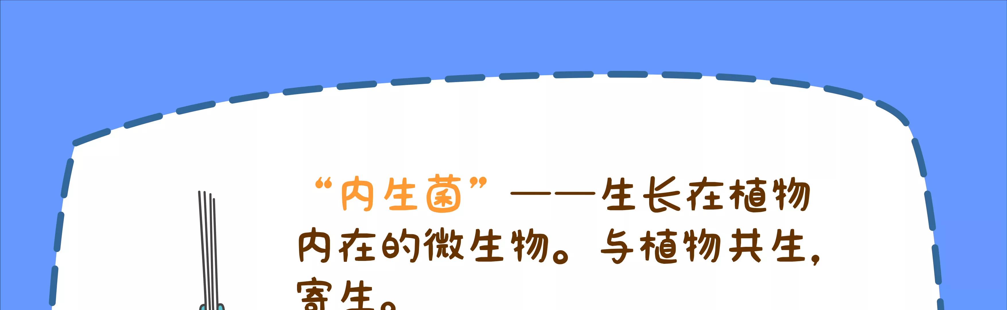 宝藏男孩之儿童节的新衣70