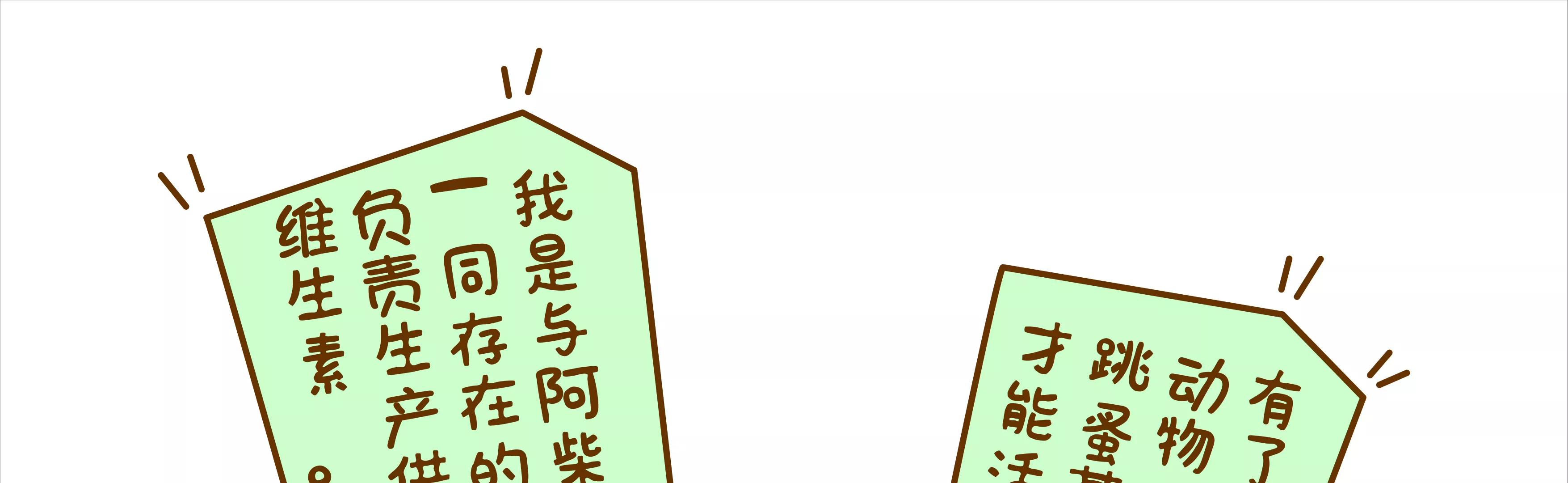我们都要变成阿柴30