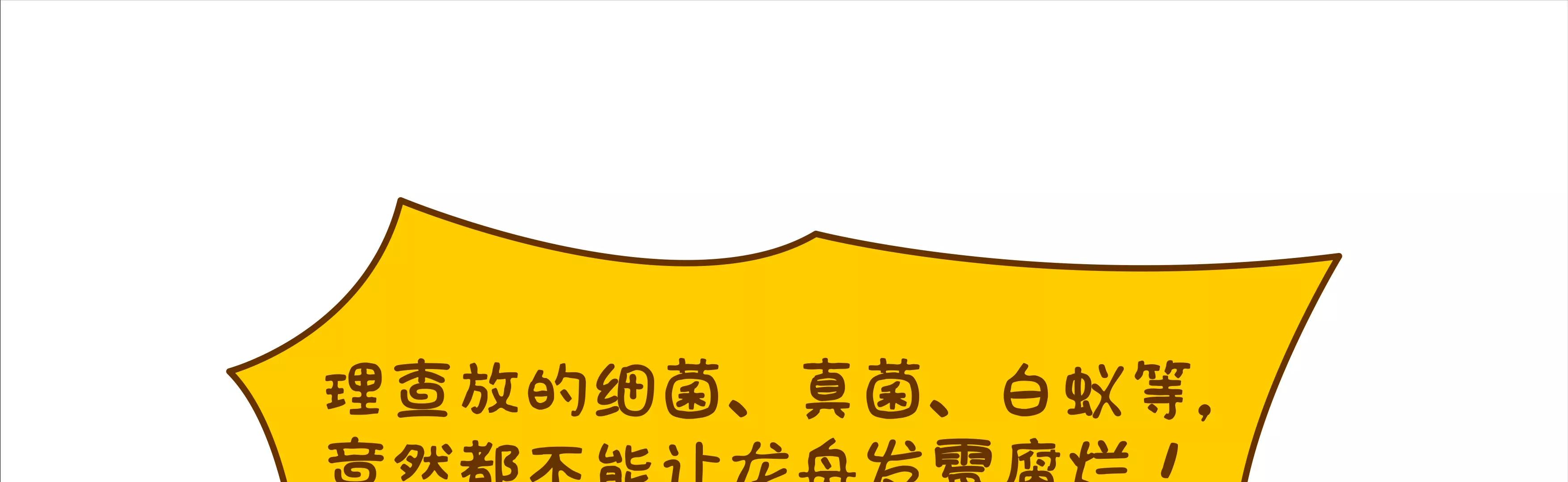端午节微生物龙舟竞渡26