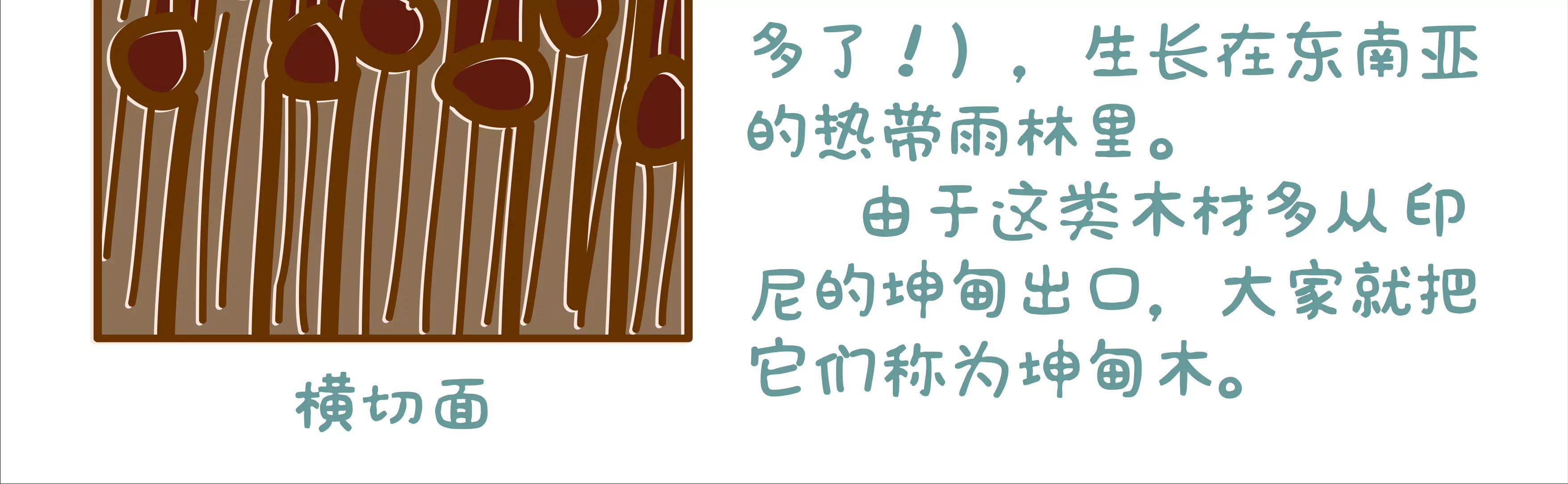 端午节微生物龙舟竞渡37
