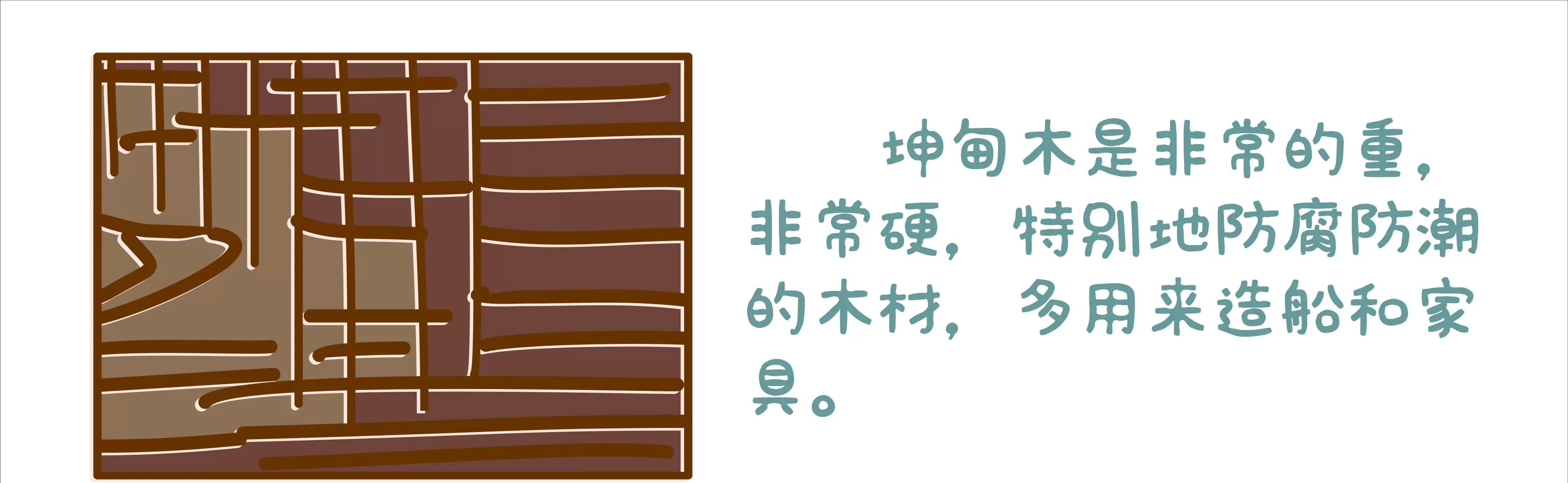 端午节微生物龙舟竞渡38