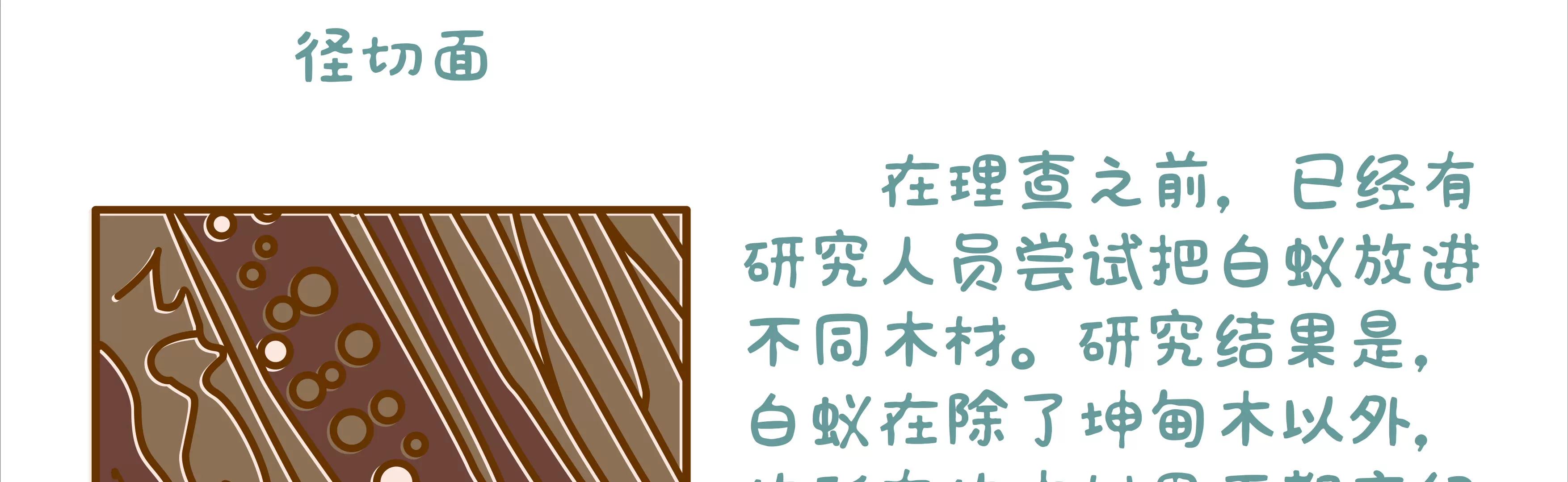 端午节微生物龙舟竞渡39