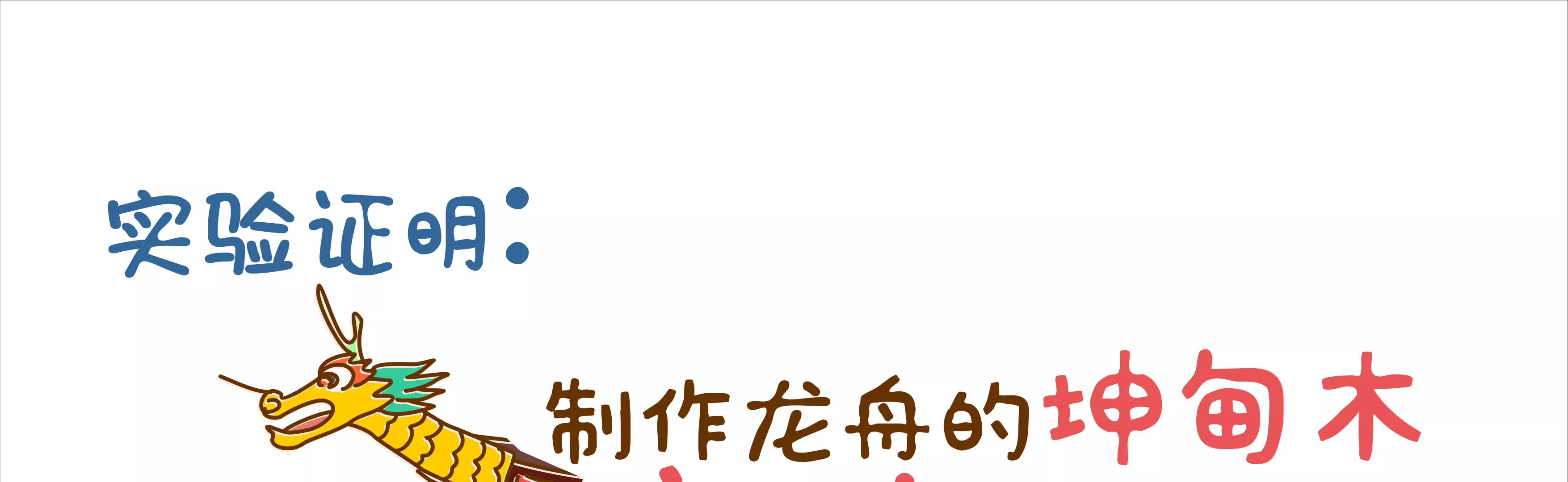 端午节微生物龙舟竞渡51