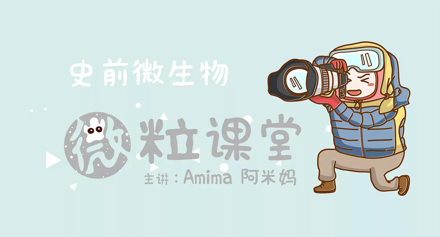 北极微生物60