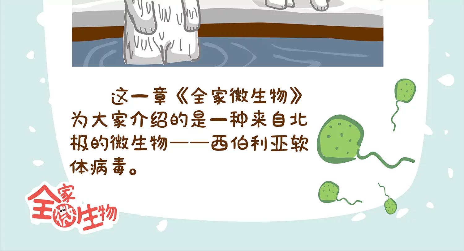 北极微生物62