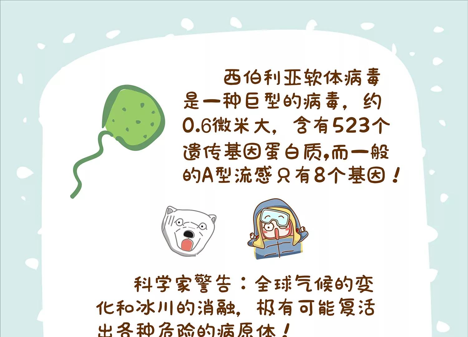 北极微生物63