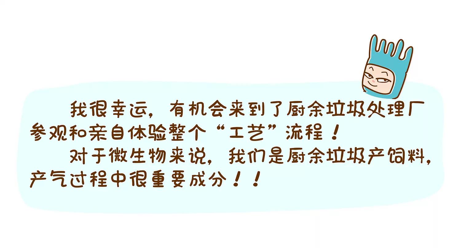 微生物爱垃圾分类11