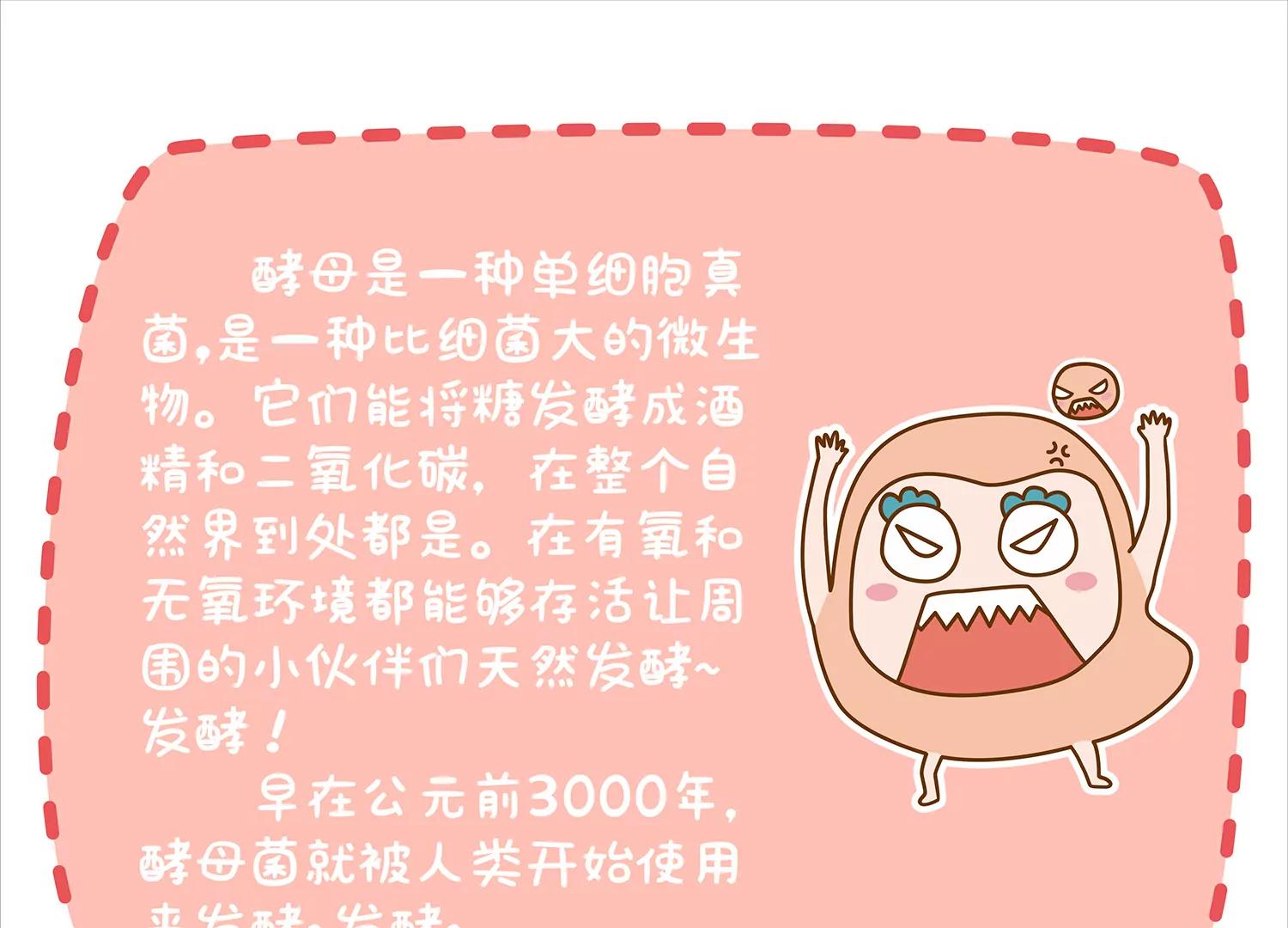 面包驾驶员（一）40