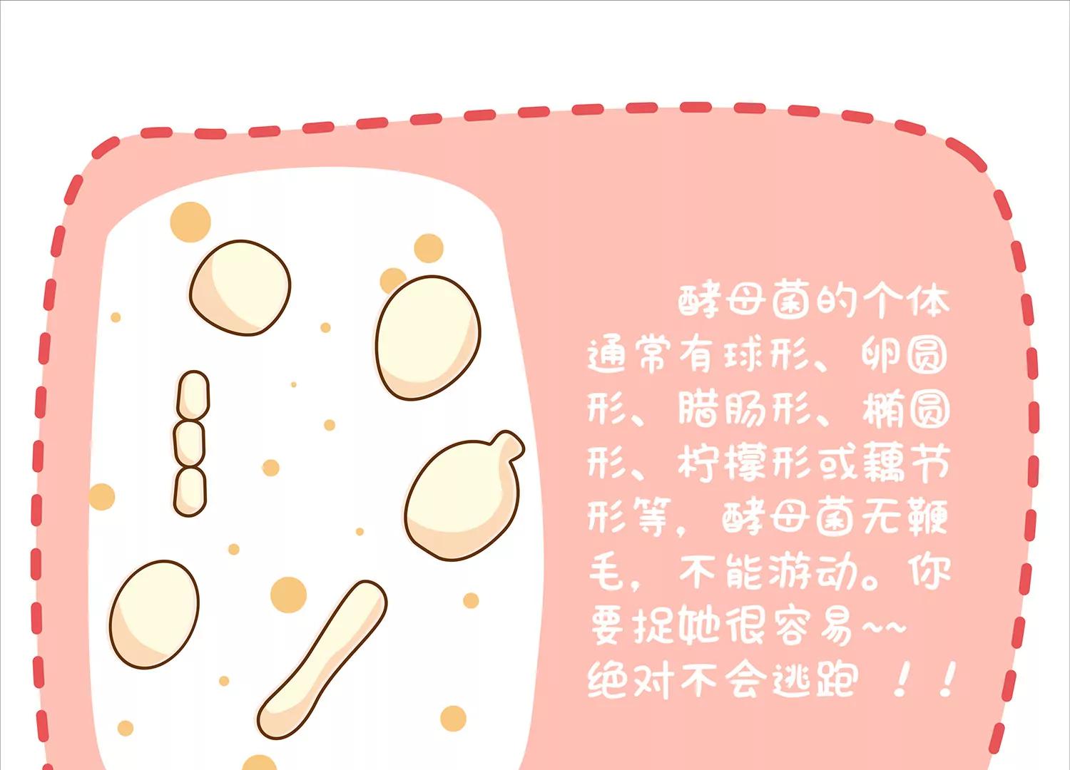 面包驾驶员（一）42