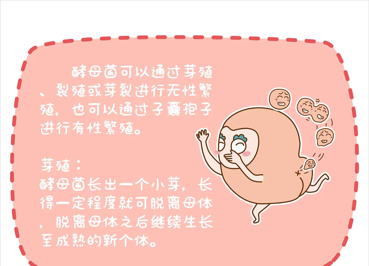 面包驾驶员（一）44