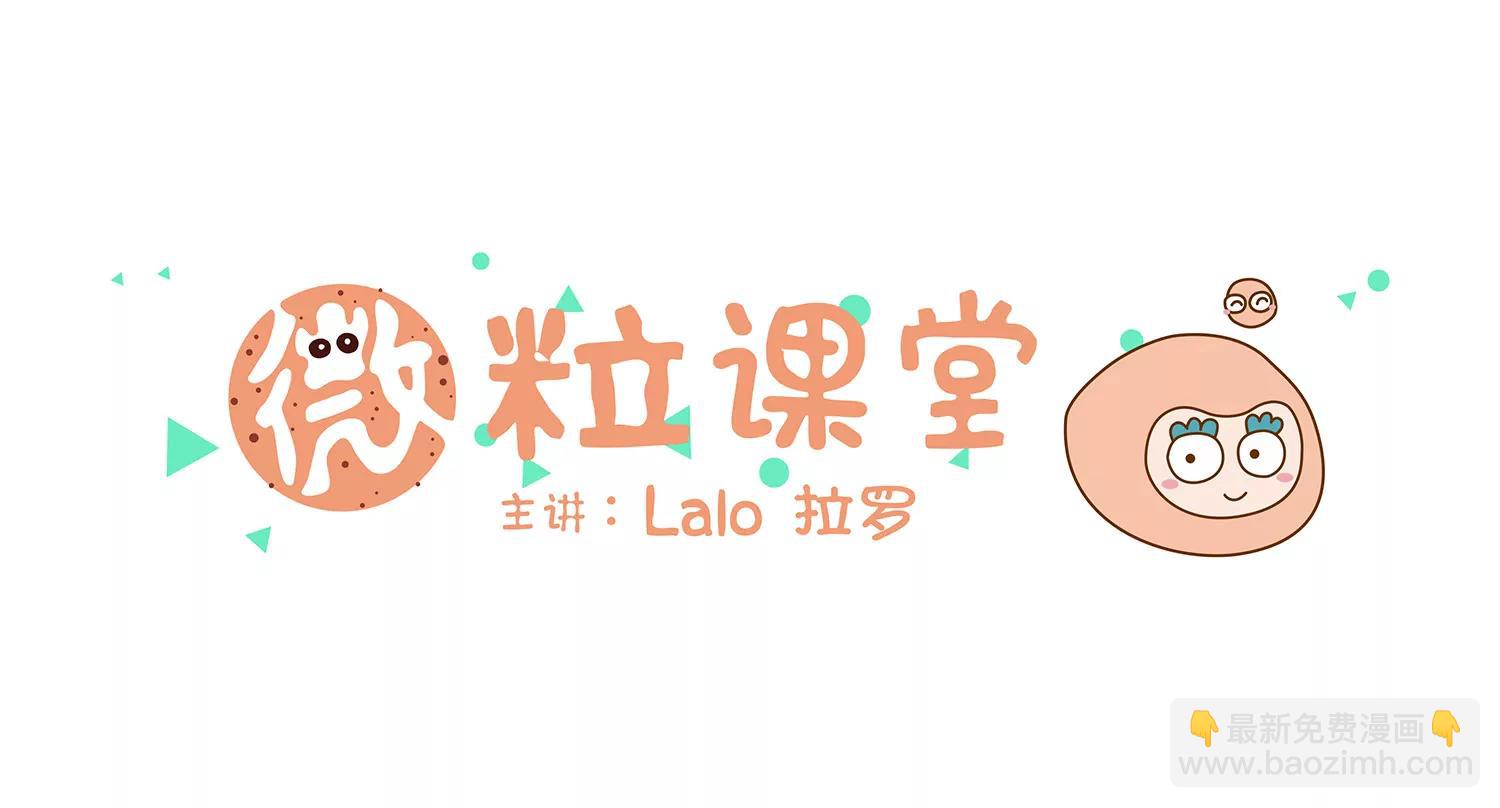 面包驾驶员（二）33