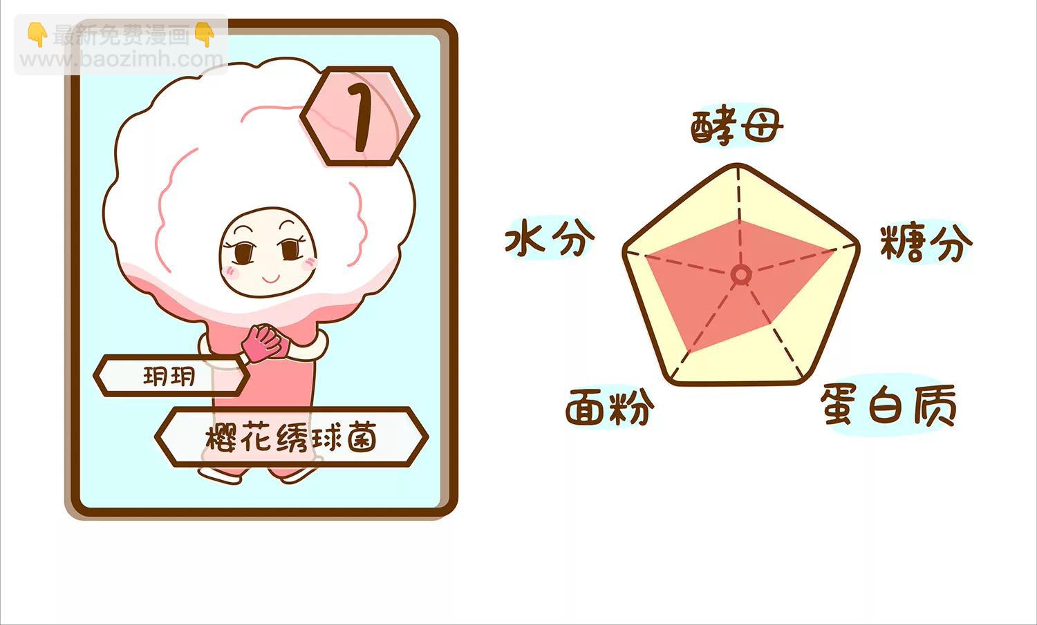 面包驾驶员（三）8