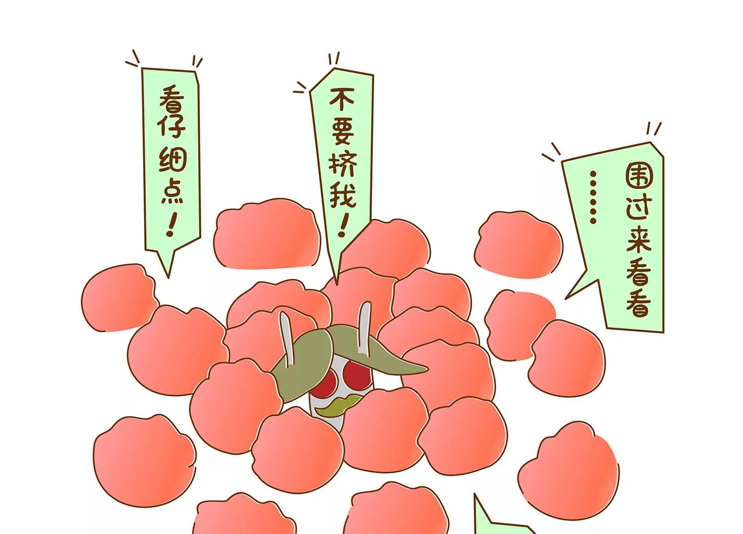 好痒啊~八卦组织19