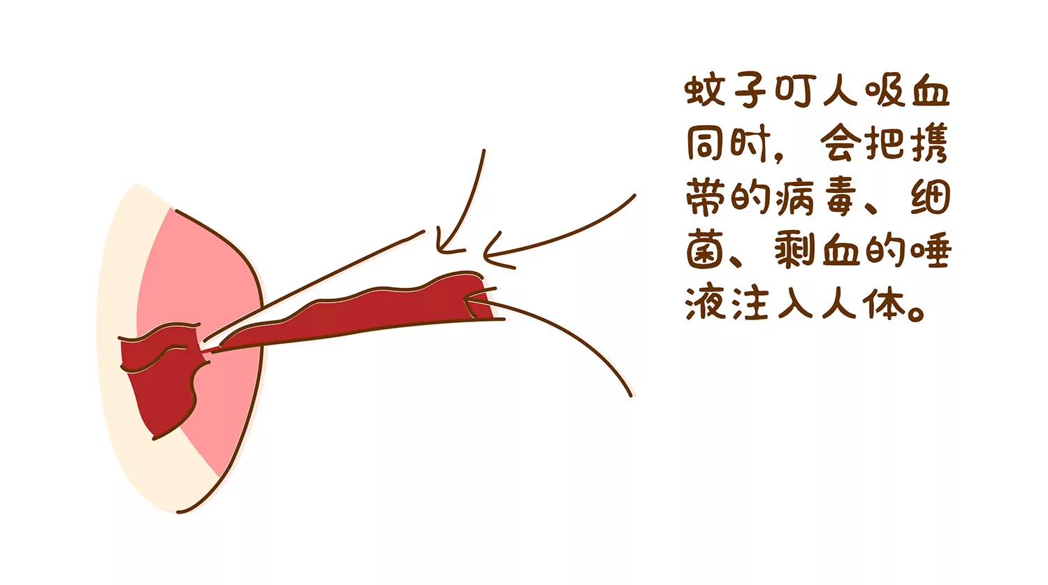 好痒啊~八卦组织29
