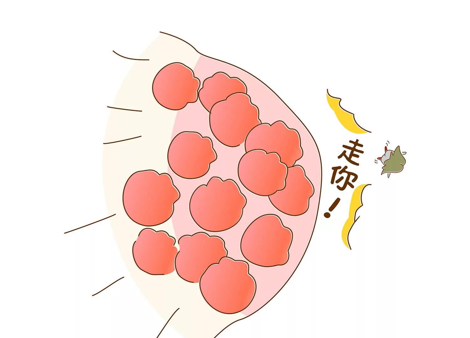 好痒啊~八卦组织33