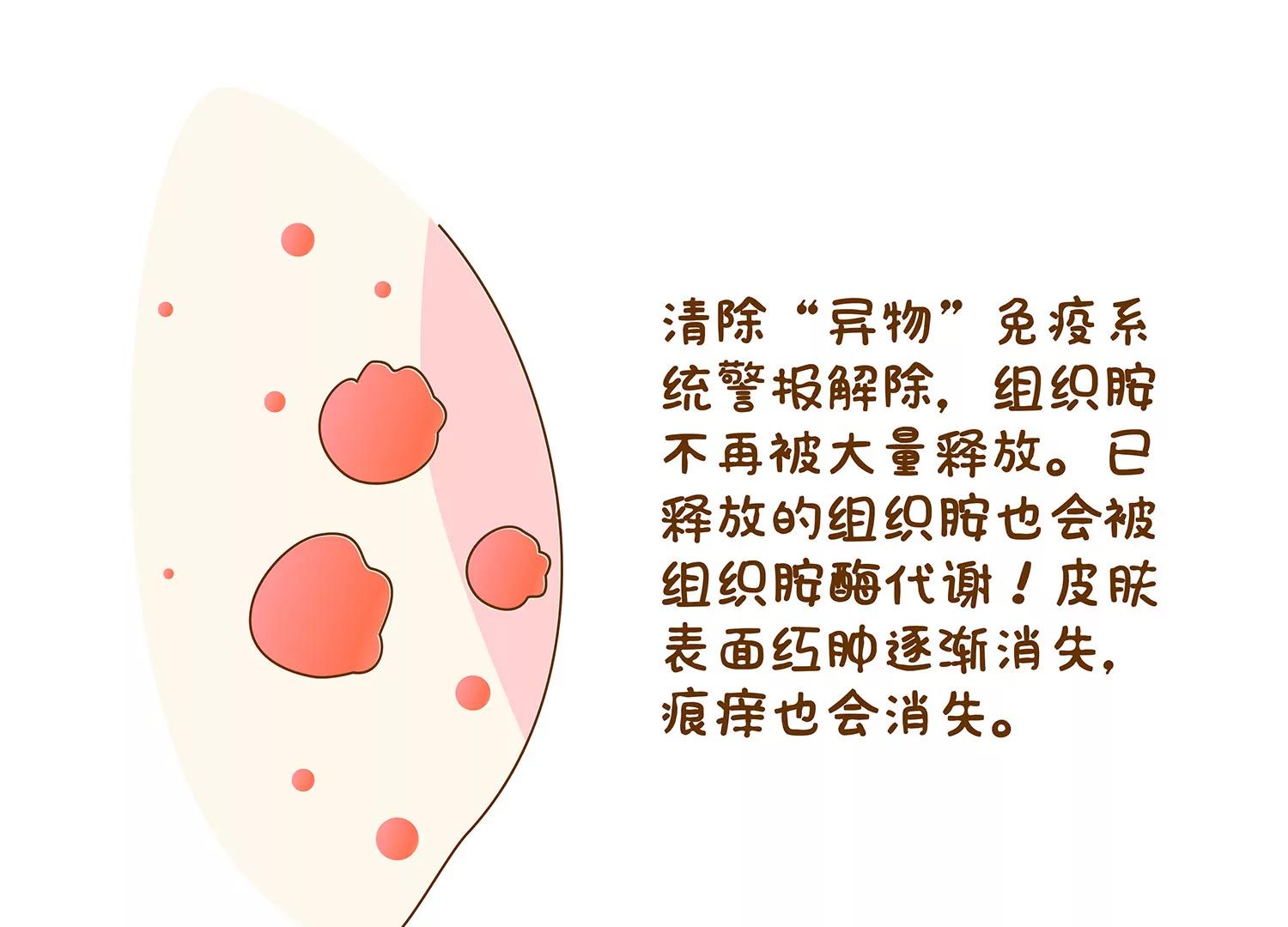 好痒啊~八卦组织35