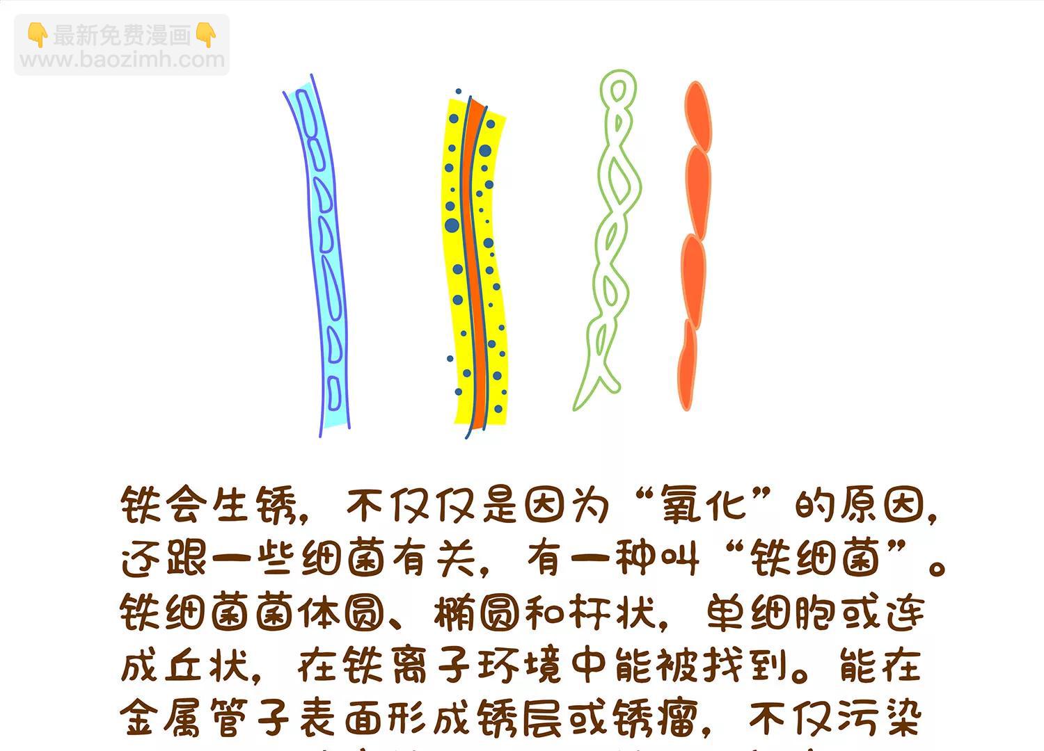 馋嘴的吃铁君44