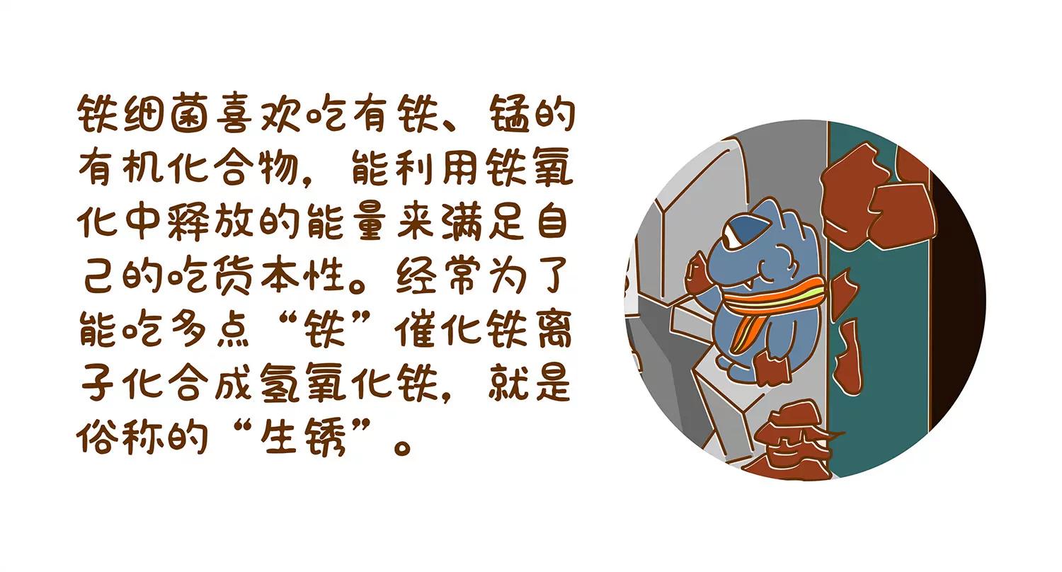 馋嘴的吃铁君50